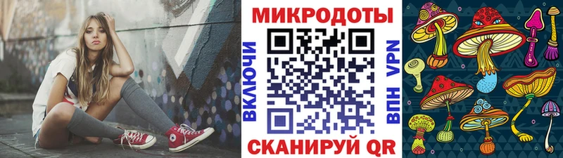 блэк спрут сайт  Кинешма  Галлюциногенные грибы Psilocybine cubensis 