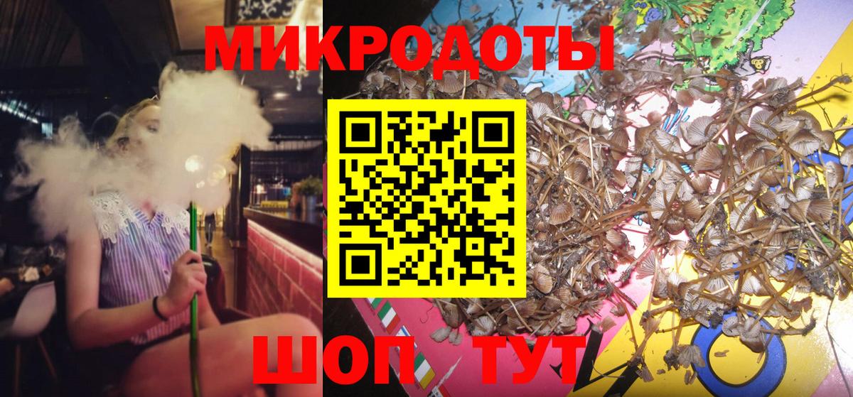 сколько стоит  Вход с VPN  Кинешма  Галлюциногенные грибы Psilocybe 