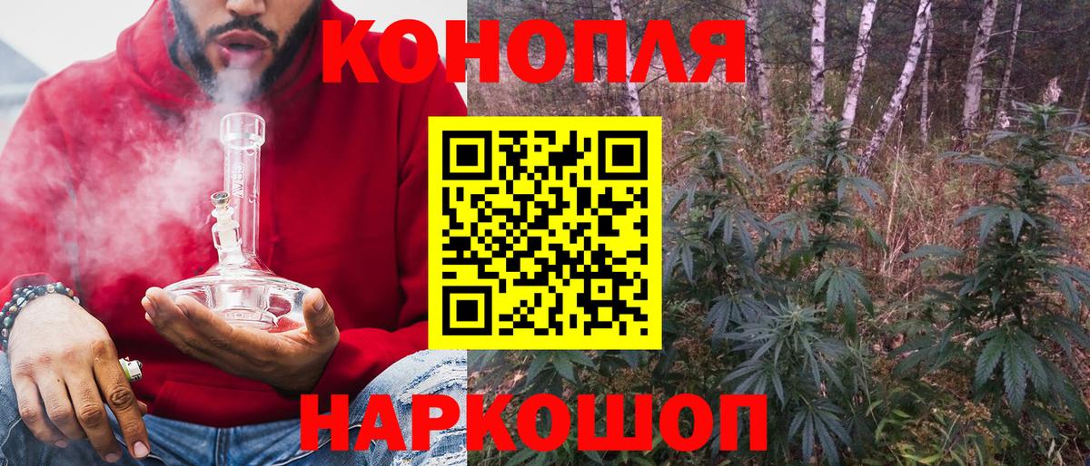 Кинешма  Канабис тримм  Вход с VPN  Конопля White Widow  Бошки Шишки THC 21% 